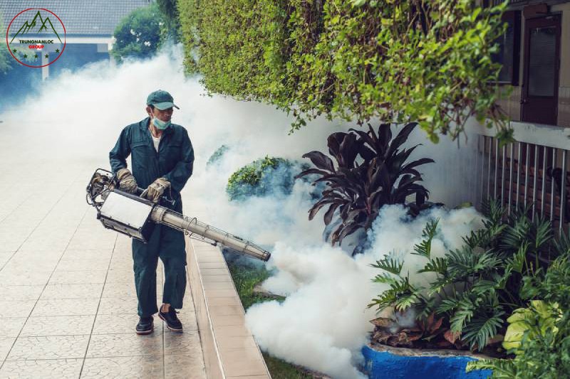 Dịch vụ diệt côn trùng