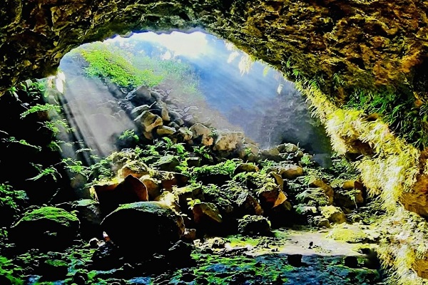 Những địa điểm du lịch đẹp tại Đắk Nông